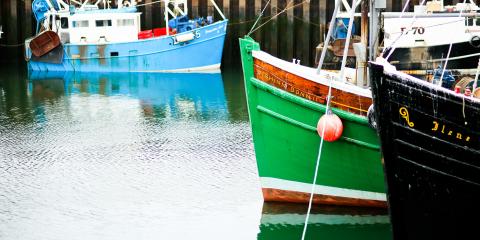 Boats in Portavogie harbour